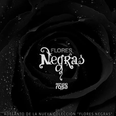 1781582_10203204960433246_1460034347_n