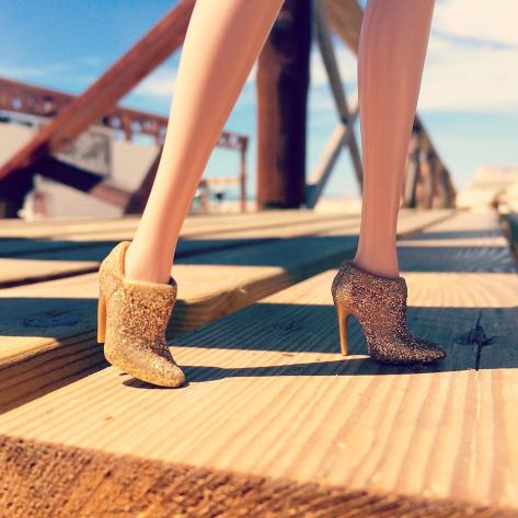 10656618_626771080774366_1159196340_n