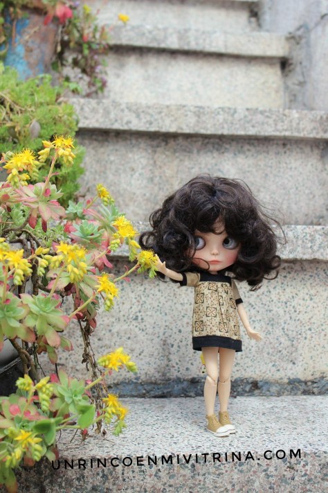 FB_IMG_1491746524640-01