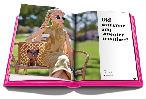 the art of barbiestyle (4)