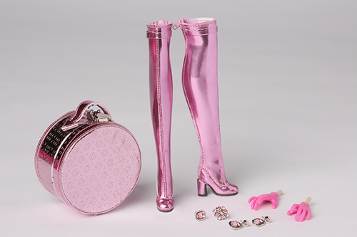 Snow Stopper Poppy Parker 3